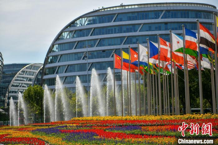 第五屆進(jìn)博會場館景觀裝飾全面定妝。　陳夢澤 攝